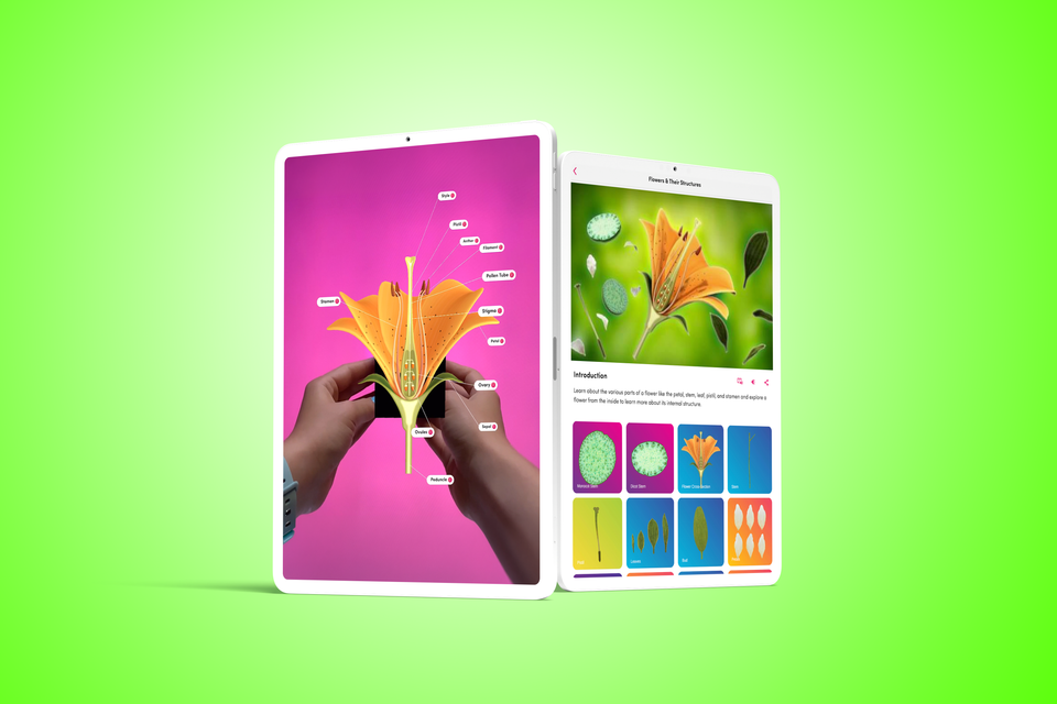 Bringing Botany to Life: Exploring Flowers in the Modern Science Classroom